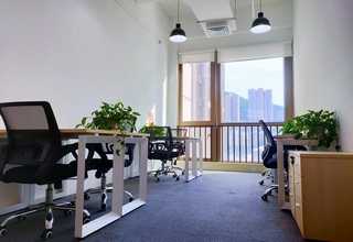 贵州山楂水果瑕疵分级筛选机发展