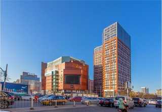 衡阳好猫粮零食营养品单价